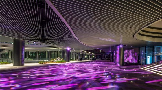 央視上海國際傳媒港亮化工程3-信達電通