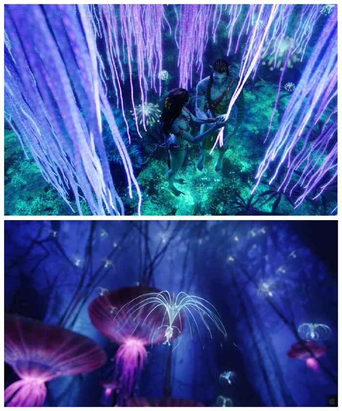 夜景亮化設(shè)計(jì)